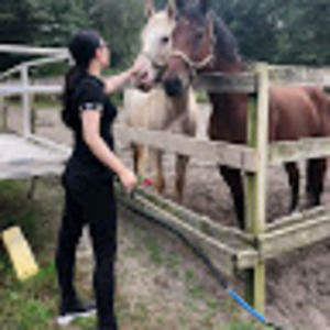 Meet your Posher, He